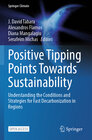 Buchcover Positive Tipping Points Towards Sustainability