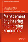Buchcover Management Engineering in Emerging Economies