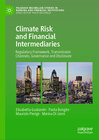Buchcover Climate Risk and Financial Intermediaries
