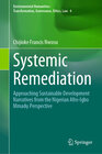 Buchcover Systemic Remediation