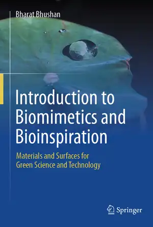 Buchcover ISBN 9783031623448