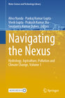 Buchcover Navigating the Nexus