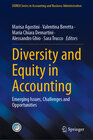 Buchcover Diversity and Equity in Accounting