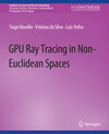 Buchcover GPU Ray Tracing in Non-Euclidean Spaces