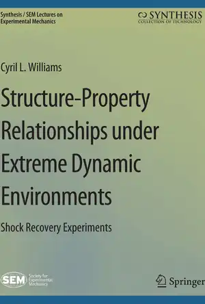 Buchcover ISBN 9783031797255