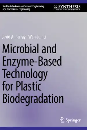 Buchcover ISBN 9783031844362