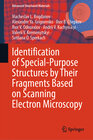 Buchcover Identification of Special-Purpose Structures by Their Fragments Based on Scanning Electron Microscopy