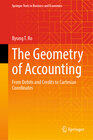 Buchcover The Geometry of Accounting