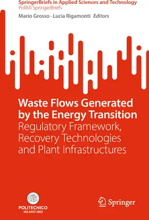 Buchcover ISBN 9783031889516