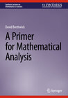Buchcover A Primer for Mathematical Analysis