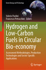 Buchcover Hydrogen and Low-Carbon Fuels in Circular Bio-economy