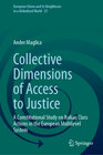 Buchcover Collective Dimensions of Access to Justice