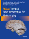 Buchcover Atlas of Intrinsic Brain Architecture for Microsurgery