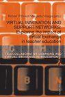 Buchcover Virtual Innovation and Support Networks