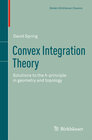 Buchcover Convex Integration Theory