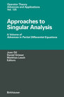 Buchcover Approaches to Singular Analysis