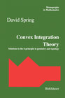 Buchcover Convex Integration Theory