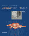 Buchcover Neuroanatomy of the Zebrafish Brain