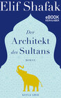 Buchcover Der Architekt des Sultans