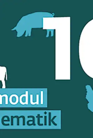 Buchcover ISBN 9783037135648