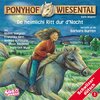 Buchcover Ponyhof Wiesental Vol. 1: De heimlichi Ritt dur d'Nacht