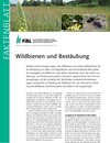 Buchcover Wildbienen und Bestäubung