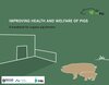 Buchcover Improving health and welfare of pigs
