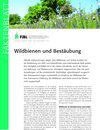 Buchcover Wildbienen und Bestäubung