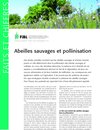 Buchcover Abeilles sauvages et pollinisation