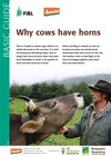 Buchcover Why cows have horns