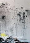 Buchcover Gian Paolo Minelli