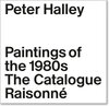 Buchcover Peter Halley: Paintings of the 1980s