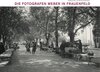 Buchcover Die Fotografen Weber in Frauenfeld