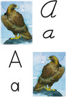Buchcover MERKBLÄTTER Buchstabenbilder, ABC-Lettera