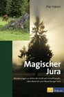 Buchcover Magischer Jura