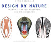 Buchcover Design by Nature