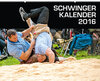 Buchcover Schwingerkalender 2016