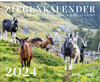 Buchcover Ziegenkalender / Calendrier des chèvres / Calendario delle capre 2024