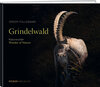 Buchcover Grindelwald
