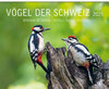 Buchcover Vögel der Schweiz 2025