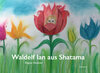 Buchcover Waldelf Ian aus Shatama