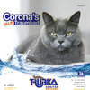 Buchcover Corona’s (Alp)Traumbad