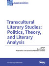 Buchcover Transcultural Literary Studies: Politics, Theory, and Literary Analysis