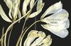 Buchcover Memento Mori