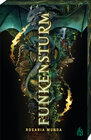 Buchcover Funkensturm
