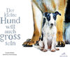 Buchcover Der kleine Hund will auch gross sein