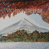 Buchcover Viorika Stepfer
