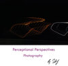 Buchcover Perceptional Perspectives Photography