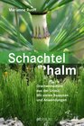 Buchcover Schachtelhalm - eBook