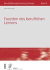 Buchcover Facetten des beruflichen Lernens